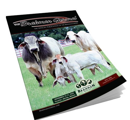 2026 July – Brahman Journal