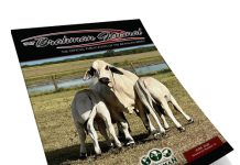 2026 June – Brahman Journal