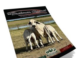 2026 June – Brahman Journal