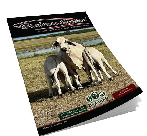 2026 June – Brahman Journal