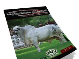 2026 March – Brahman Journal