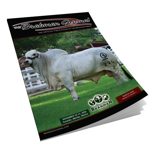 2026 March - Brahman Journal
