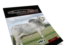 2026 May – Brahman Journal