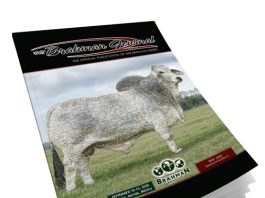 2026 May – Brahman Journal