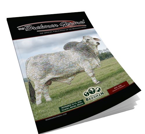 2026 May – Brahman Journal