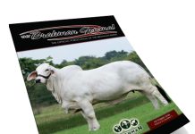2026 October – Brahman Journal