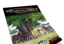 2026 September – Brahman Journal