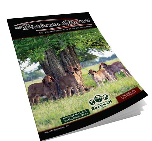 2026 September – Brahman Journal