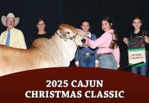 2025 Cajun Christmas Classic