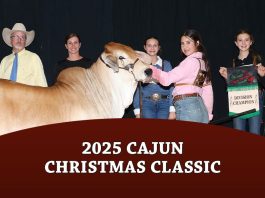 2025 Cajun Christmas Classic