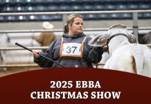 2025 EBBA Christmas Show
