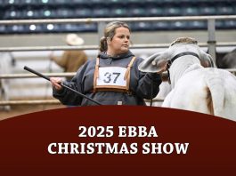2025 EBBA Christmas Show