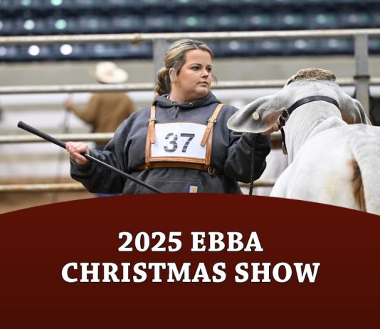 2025 EBBA Christmas Show