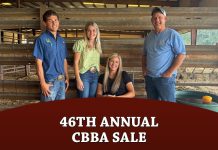 46th Annual Carolinas Brahman Breeders Association Sale