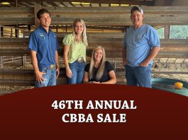 46th Annual Carolinas Brahman Breeders Association Sale