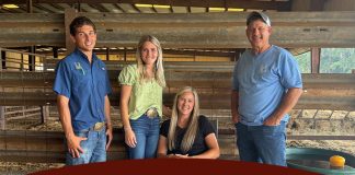 46th Annual Carolinas Brahman Breeders Association Sale
