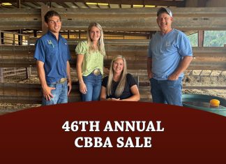 46th Annual Carolinas Brahman Breeders Association Sale
