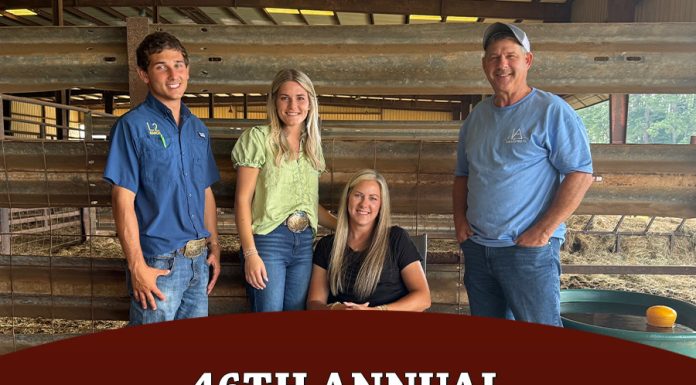 46th Annual Carolinas Brahman Breeders Association Sale