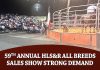59th Annual Hls&R All Breeds Sales Show Strong Demand