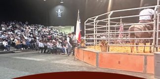 59th Annual Hls&R All Breeds Sales Show Strong Demand