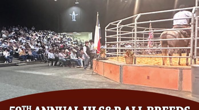 59th Annual Hls&R All Breeds Sales Show Strong Demand