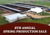 8th Annual Spring Production Sale
