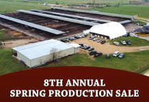 8th Annual Spring Production Sale
