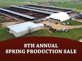 8th Annual Spring Production Sale