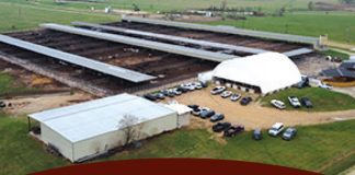 8th Annual Spring Production Sale