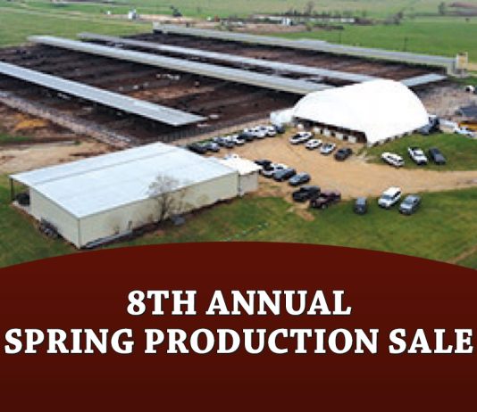 8th Annual Spring Production Sale