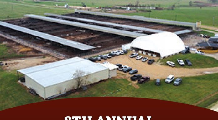 8th Annual Spring Production Sale