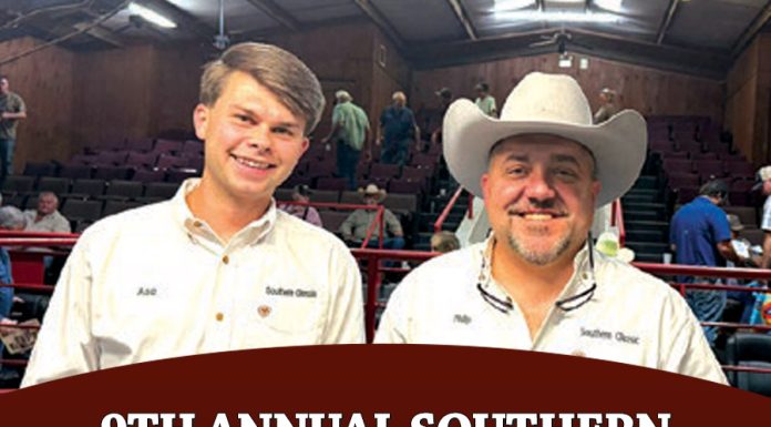 9th Annual Southern Classic Brahman & F1 Sale