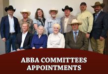 ABBA Committees Appointments
