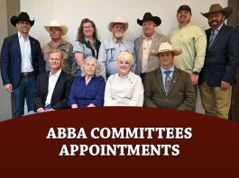 ABBA Committees Appointments