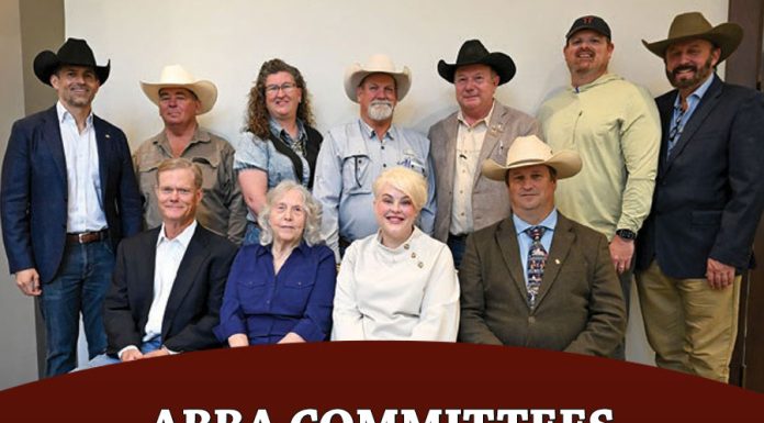 ABBA Committees Appointments