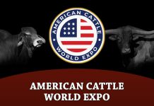 American Cattle World Expo
