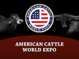 American Cattle World Expo