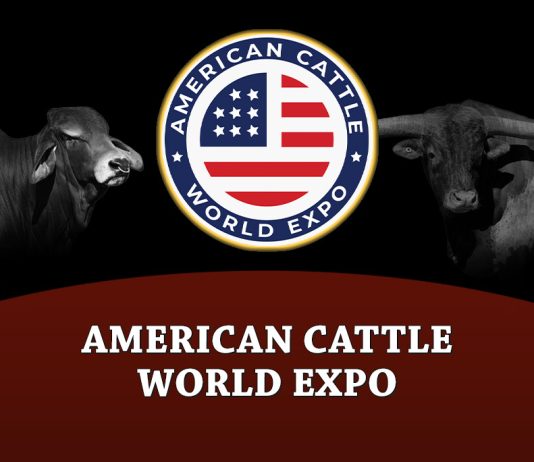 American Cattle World Expo