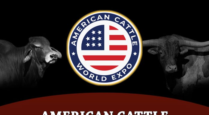 American Cattle World Expo