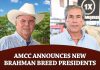 AMCC Announces New Brahman Breed Presidents