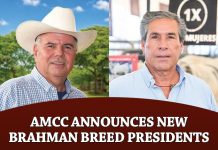 AMCC Announces New Brahman Breed Presidents
