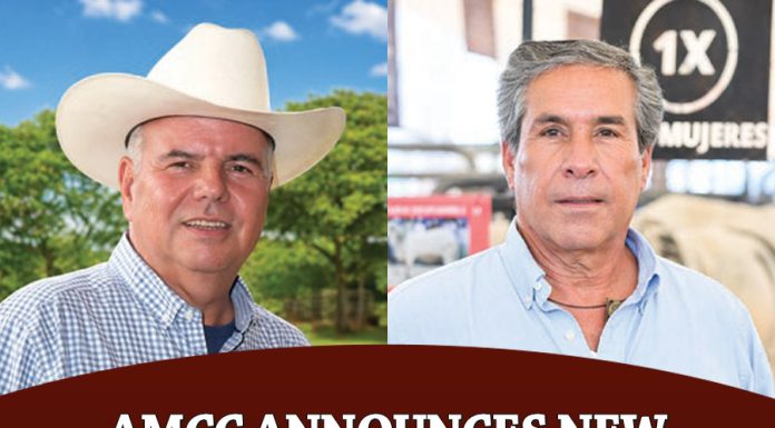 AMCC Announces New Brahman Breed Presidents