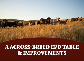 2026 A Across-Breed EPD Table & Improvements