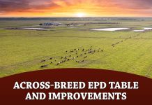 Across-Breed EPD Table and Improvements