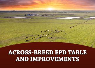 Across-Breed EPD Table and Improvements