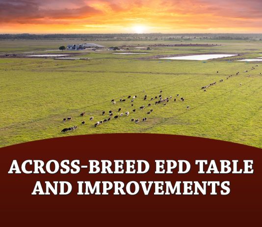 Across-Breed EPD Table and Improvements