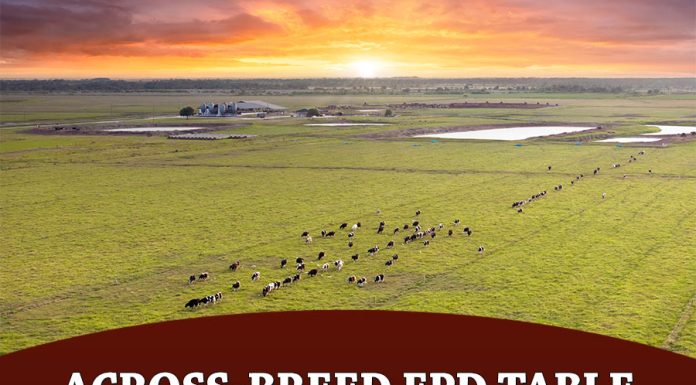 Across-Breed EPD Table and Improvements