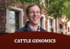Cattle Genomics: Genomic Terminal Crossbreeding As A Solution To Economic Antagonisms In The Beef Industry