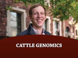 Cattle Genomics: Genomic Terminal Crossbreeding As A Solution To Economic Antagonisms In The Beef Industry