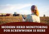 Don’t Get Screwed: Modern Herd Monitoring for Screwworm is Here